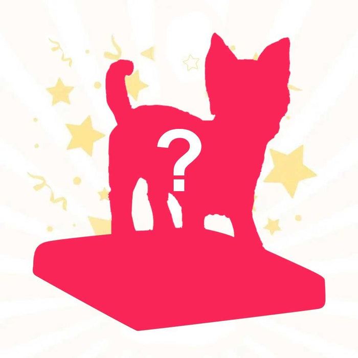 Fully Custom Dog Pet Bobblehead From Photo